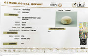 9.14/CT Natural Opal with Govt. Lab Certificate-12214D49539